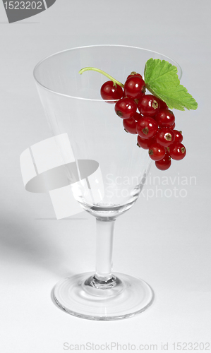 Image of Redcurrant and glass