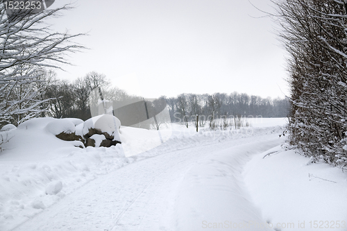 Image of winter scenery in Hohenlohe