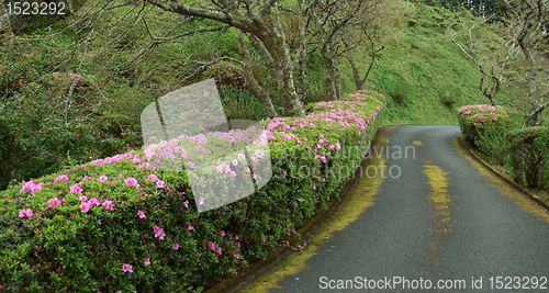 Image of small street at the Azores