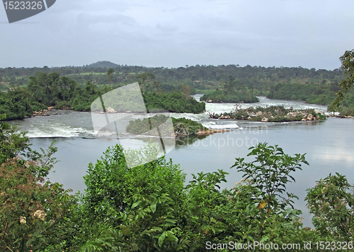 Image of waterside River Nile scenery near Jinja in Africa