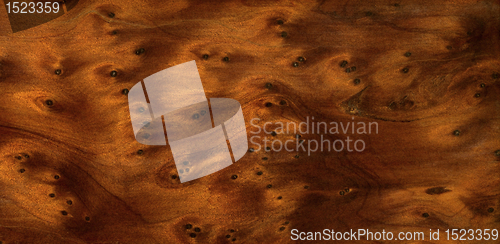 Image of brown burl wood detail