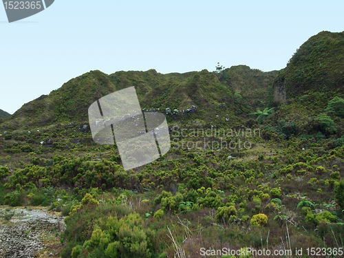 Image of overgrown hills