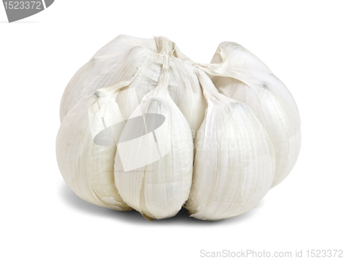 Image of garlic