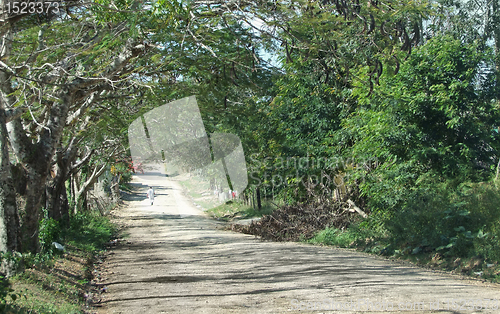 Image of dusty country lane