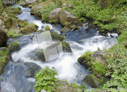 Image of detail of the Triberg Waterfalls