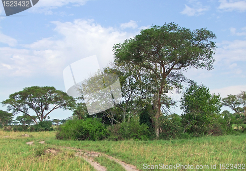 Image of Queen Elizabeth National Park in Africa