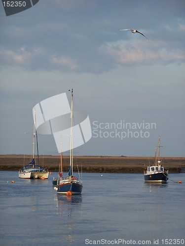 Image of three boats and seagull