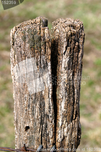 Image of Old Fence Post