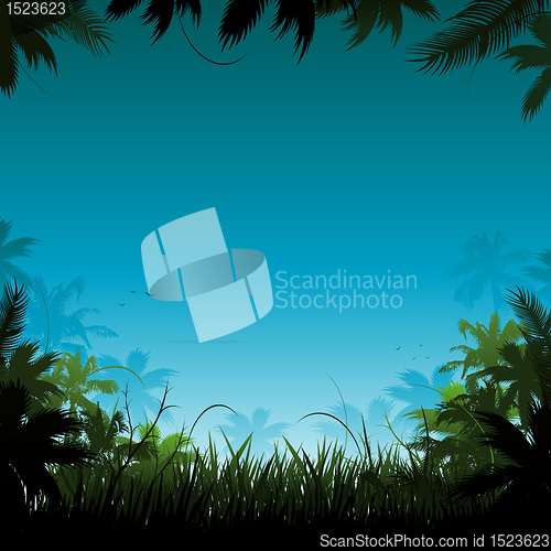 Image of Jungle background