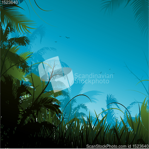 Image of Jungle background