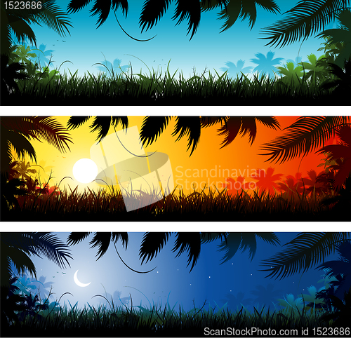 Image of Jungle background