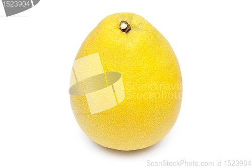 Image of Pomelo