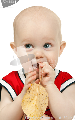 Image of portrait of a young boy with the autumn leaves