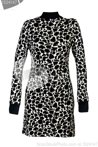 Image of a woman's dress with spotted pattern