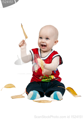 Image of little boy with autumn leaves in the studio