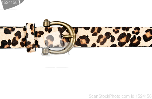 Image of belt with leopard pattern