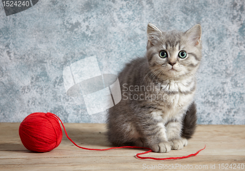 Image of kitten and red thread ball