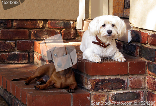 Image of Guarding Together