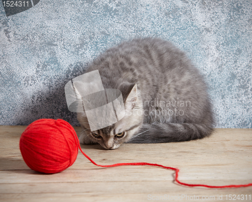 Image of kitten and red thread ball