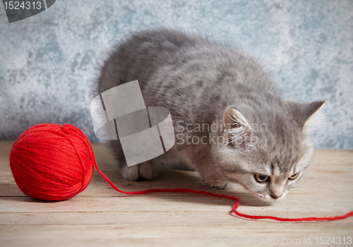 Image of kitten and red thread ball