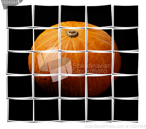 Image of pumpkin