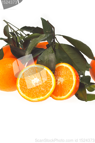 Image of fresh orange isolated