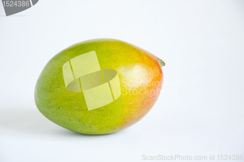 Image of Mango. 