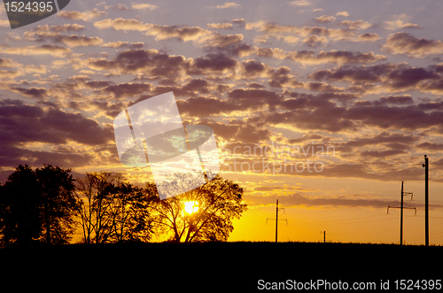 Image of Sun hiding over the trees.