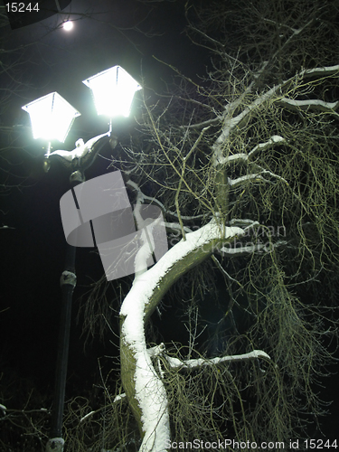 Image of Street lamp and the moon