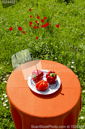 Image of Red paprikas and tomato. Healthy food.