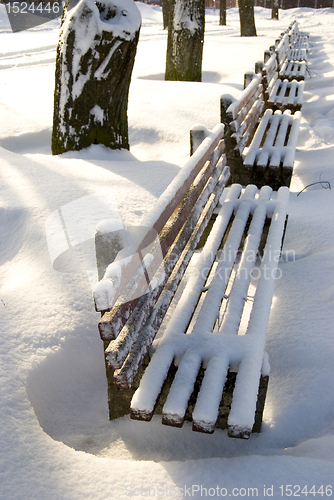 Image of Benches covered with snow.