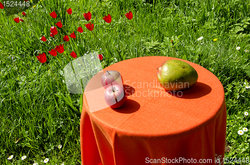 Image of Apples and peer. Ecological food.