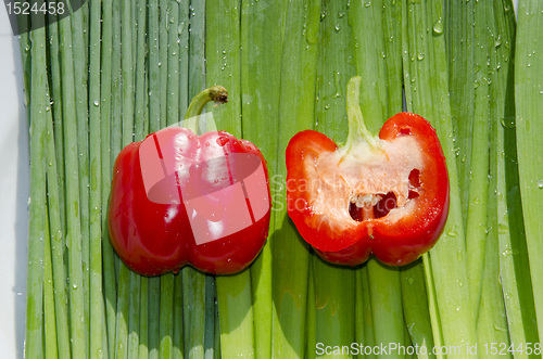 Image of Two fat red paprikas. Orions. 