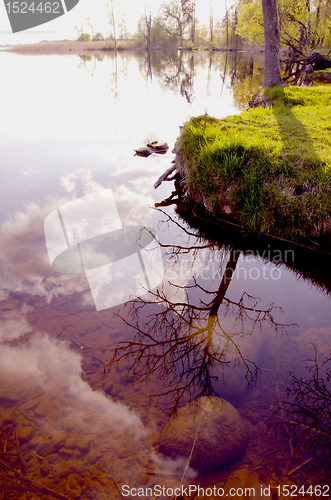 Image of Reflections on the lake in spring.