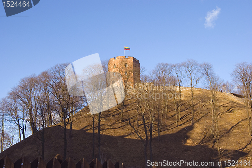 Image of Gediminas castle on top of hill.