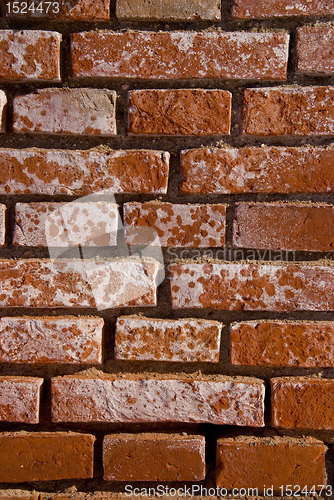 Image of Red brick wall fragment.