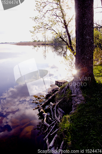 Image of Sun reflections on the lake. 