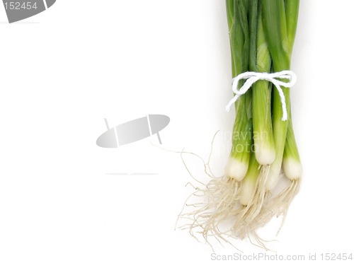 Image of green onions