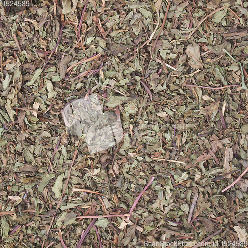 Image of Dried peppermint