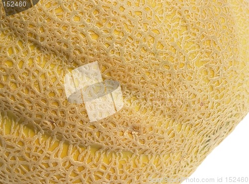 Image of cantaloupe