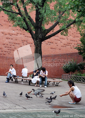 Image of People enjoying the park