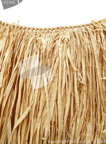 Image of Hawaiian luau - grass hula skirt