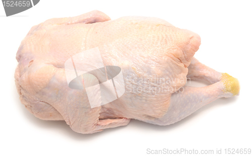 Image of raw chicken