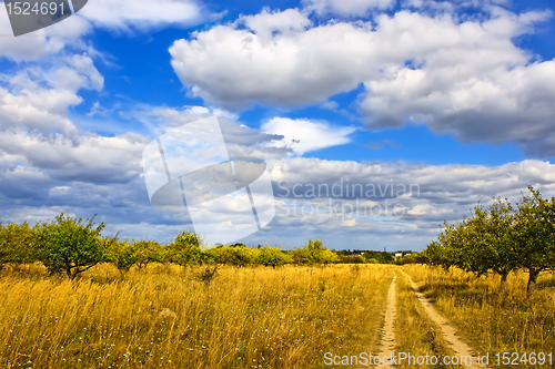 Image of Rural landscape
