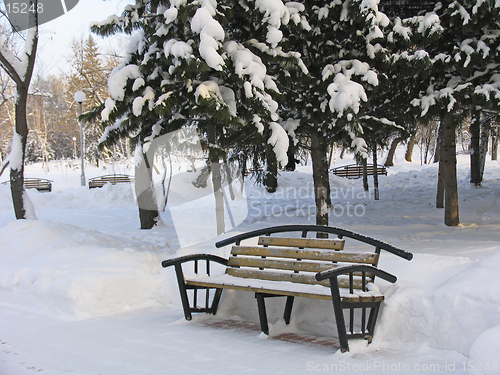 Image of Bench for relaxation