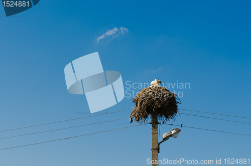 Image of Stork nest