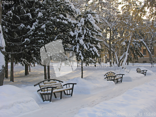 Image of Benches