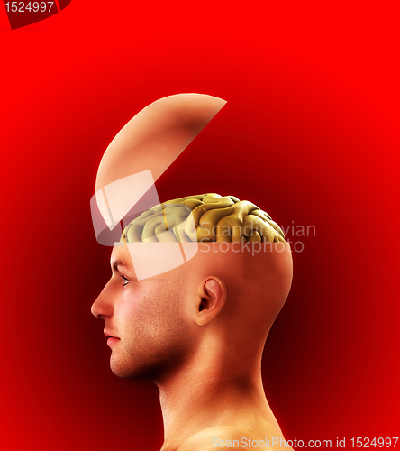 Image of Profile Open Minded Head 