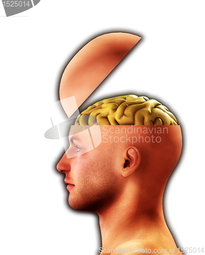 Image of Profile Open Minded Head 