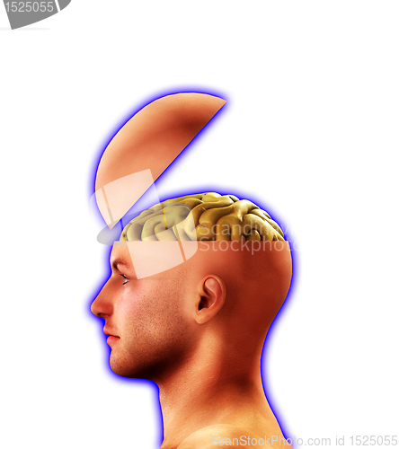 Image of Profile Open Minded Head 